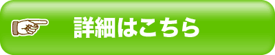 BroadWiMAX̔TCg